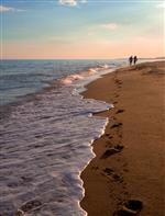 Fotografia de: La sostenibilitat de les platges a la Costa Daurada | CETT
